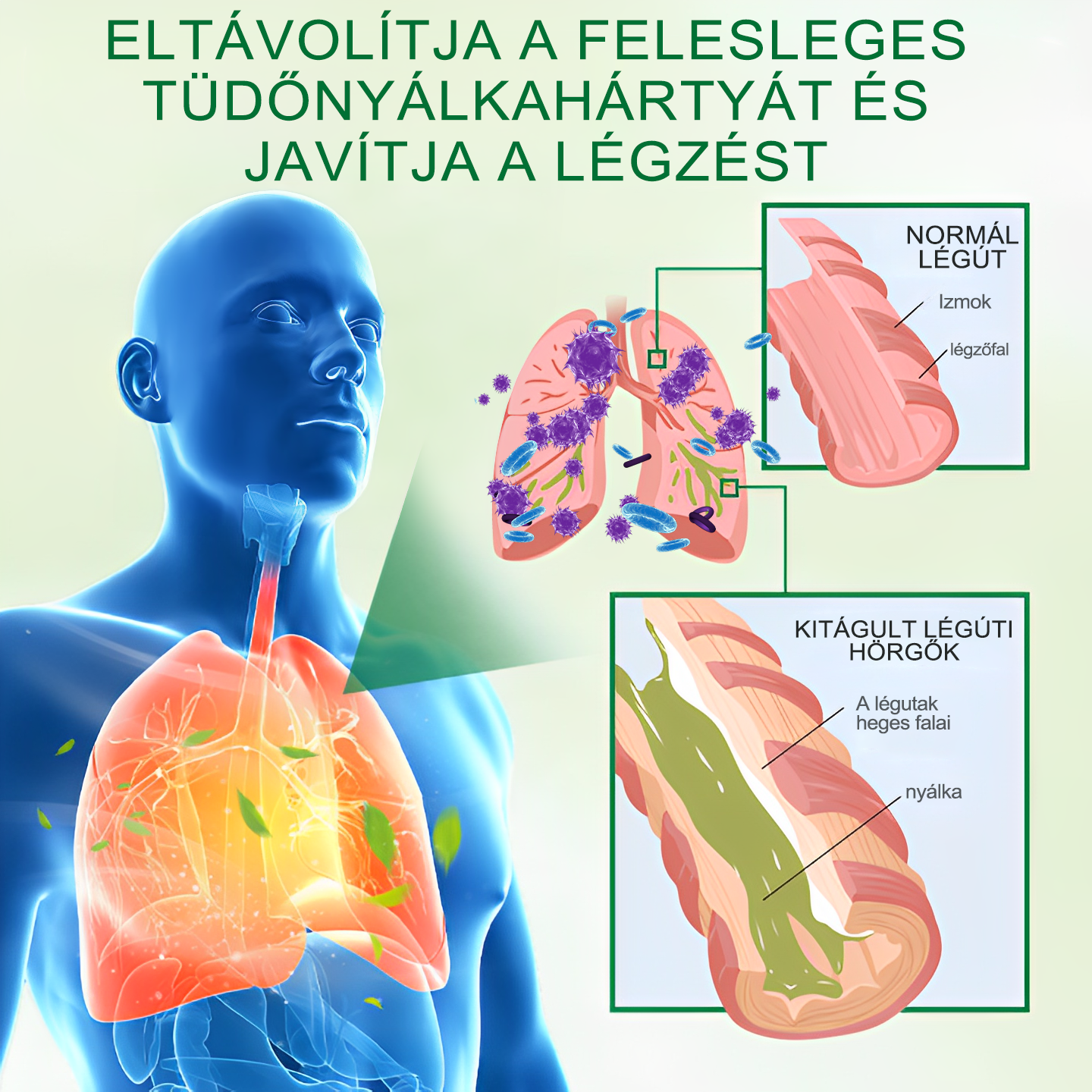 💚💚Gooyeer™ Fejlett Tüdőtisztító Spray - Tüdőspecialisták ajánlásával -CE tanúsítvánnyal rendelkezik