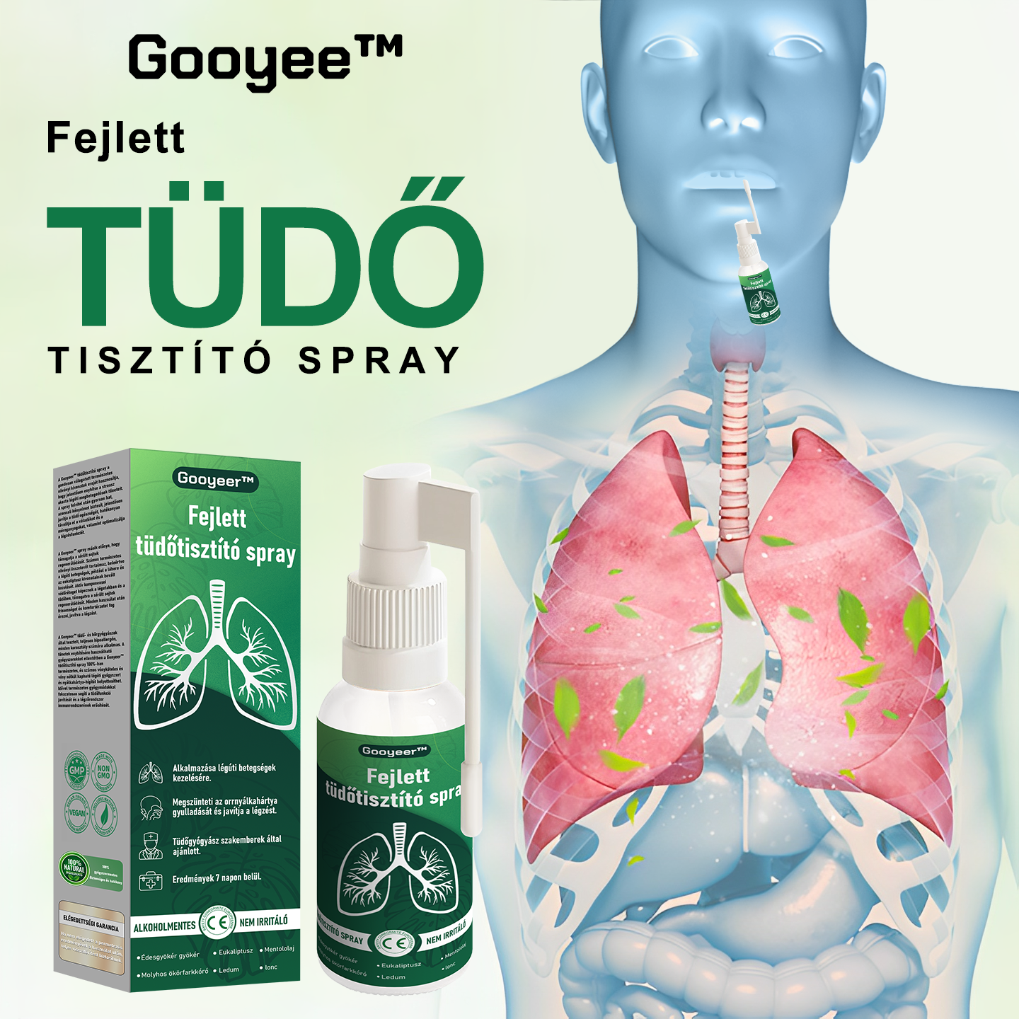 💚💚Gooyeer™ Fejlett Tüdőtisztító Spray - Tüdőspecialisták ajánlásával -CE tanúsítvánnyal rendelkezik