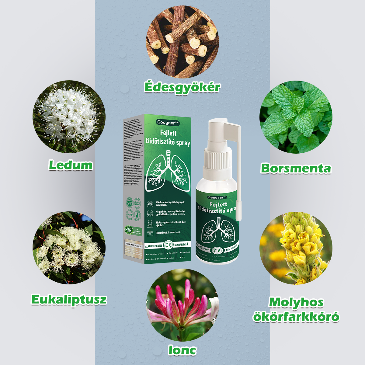 💚💚Gooyeer™ Fejlett Tüdőtisztító Spray - Tüdőspecialisták ajánlásával -CE tanúsítvánnyal rendelkezik